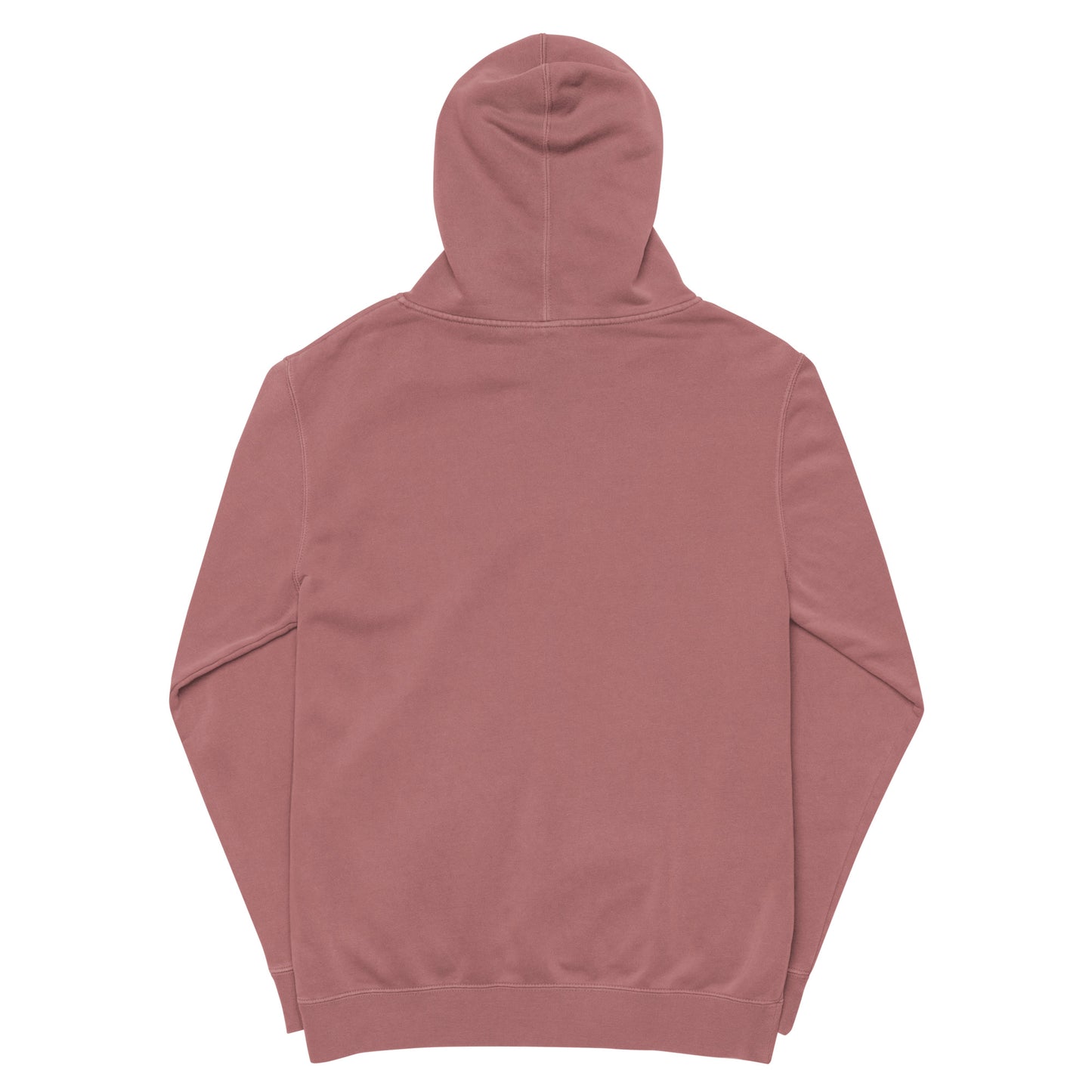 EvJayz Premium Unisex pigment-dyed hoodie