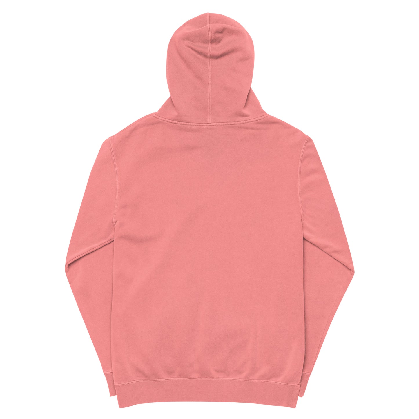 EvJayz Premium Unisex pigment-dyed hoodie