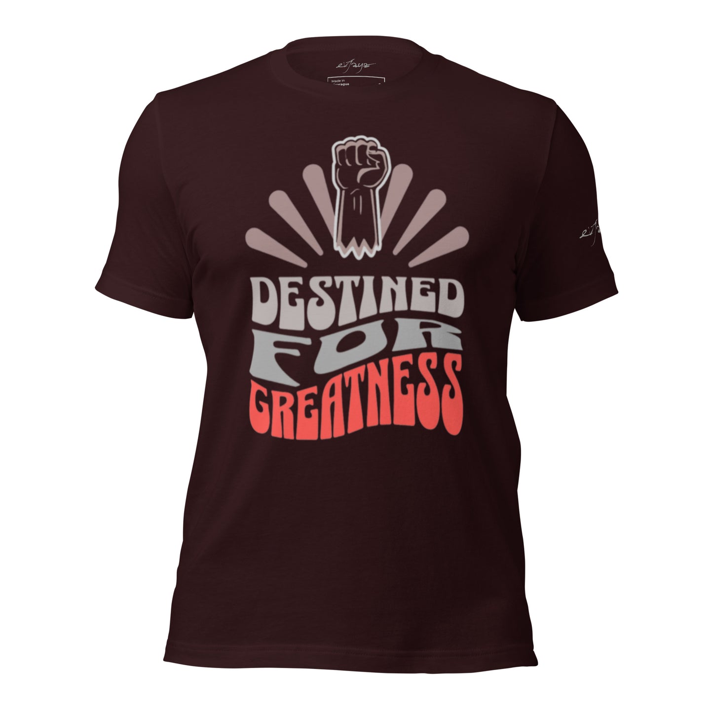 EvJayz Destined For Greatness Premium Unisex t-shirt