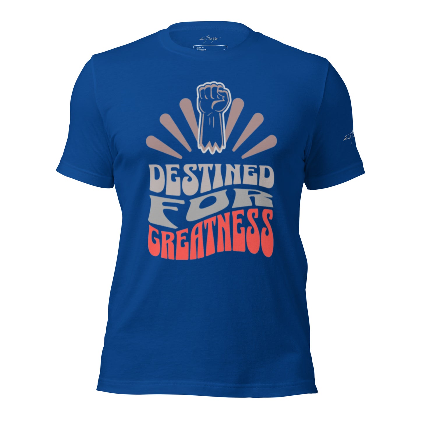 EvJayz Destined For Greatness Premium Unisex t-shirt